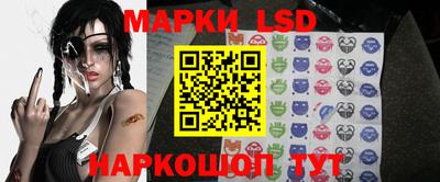 PSILOCYBIN Краснодар