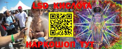 PSILOCYBIN Краснодар